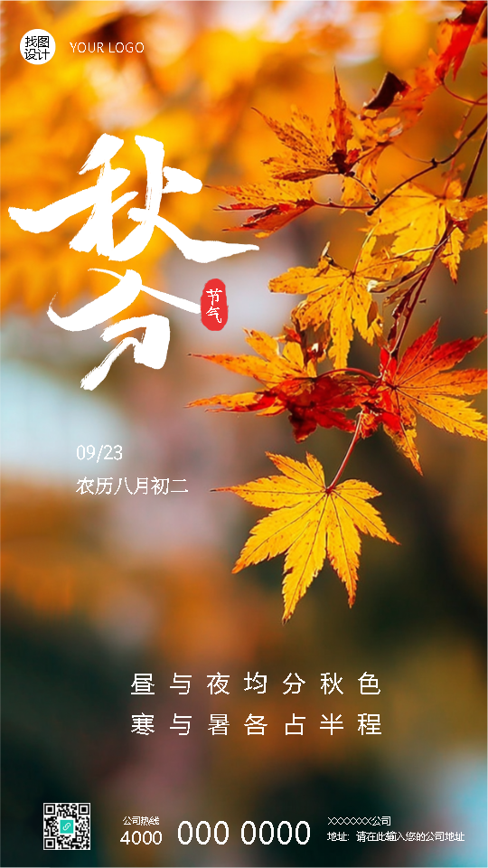 24节气秋分一叶知秋意手机海报