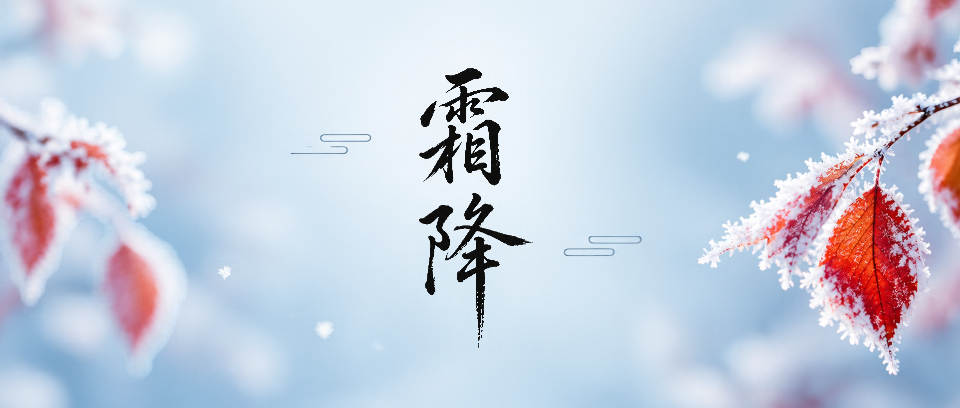 霜落枝头红叶映寒微信公众号首图
