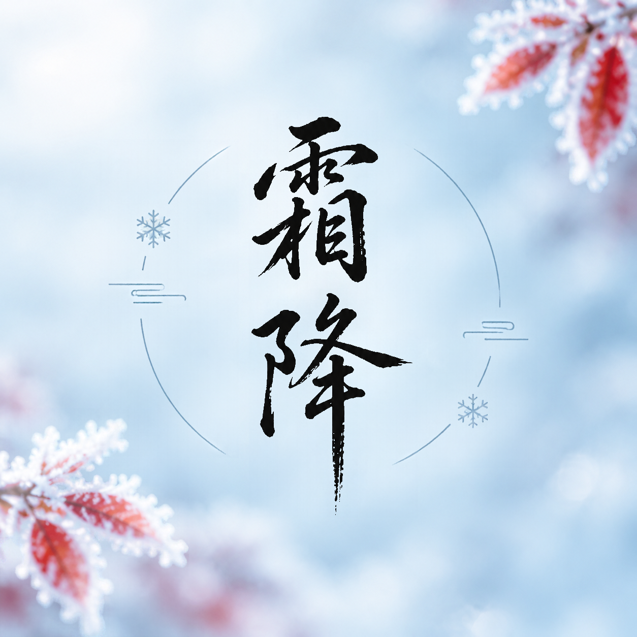 霜降时节天寒加衣微信公众号次图