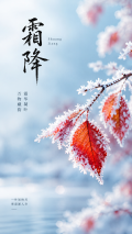 秋尽冬临霜降凝霜枝头手机海报