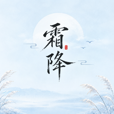 霜降时节芦花白岸清微信公众号次图