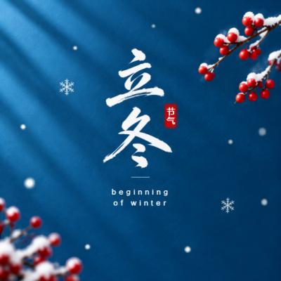 立冬落雪静候冬安微信公众号次图