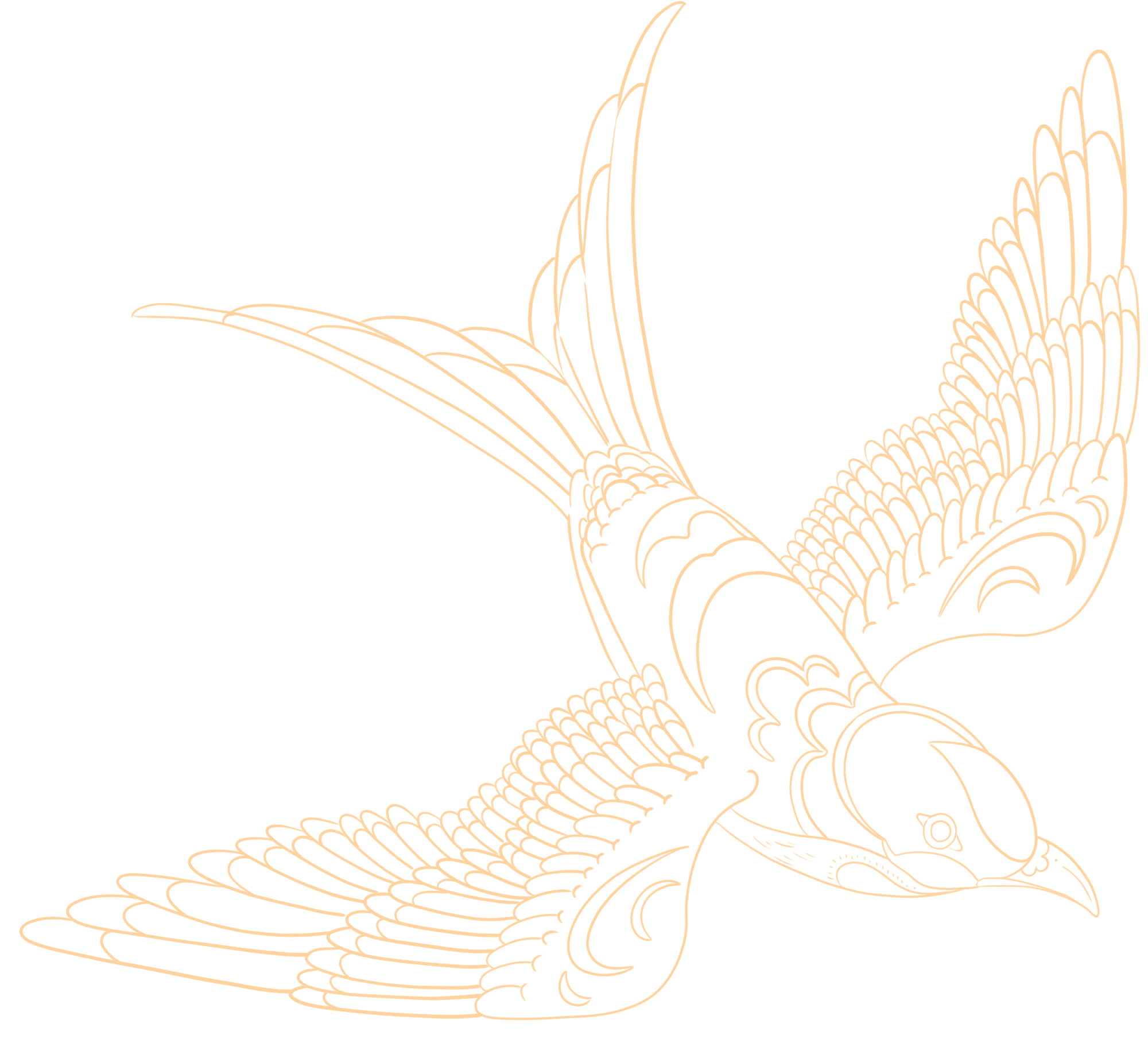 鸟插画图片制作技巧！