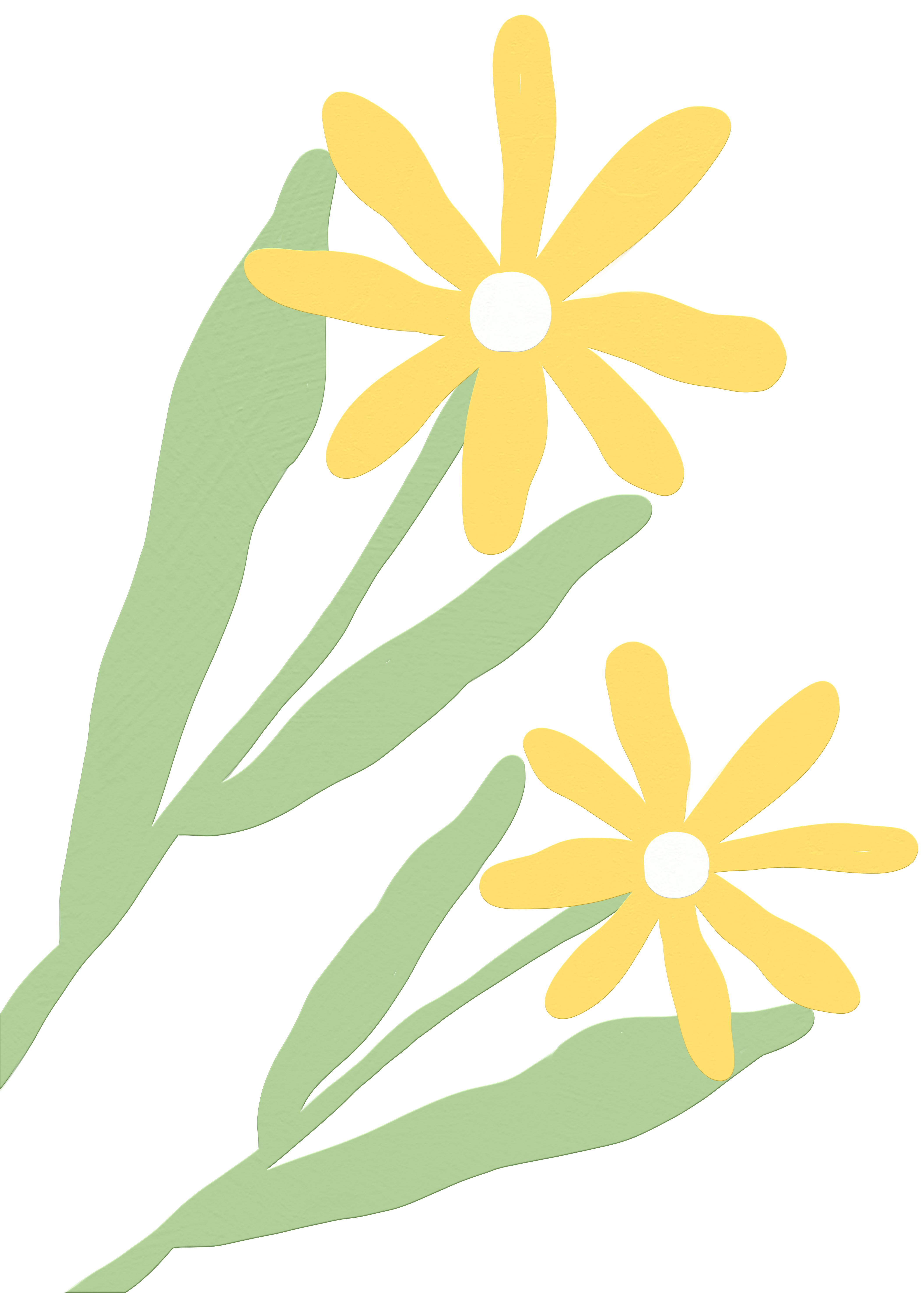 小黄花插画背景花动漫如何绘制?