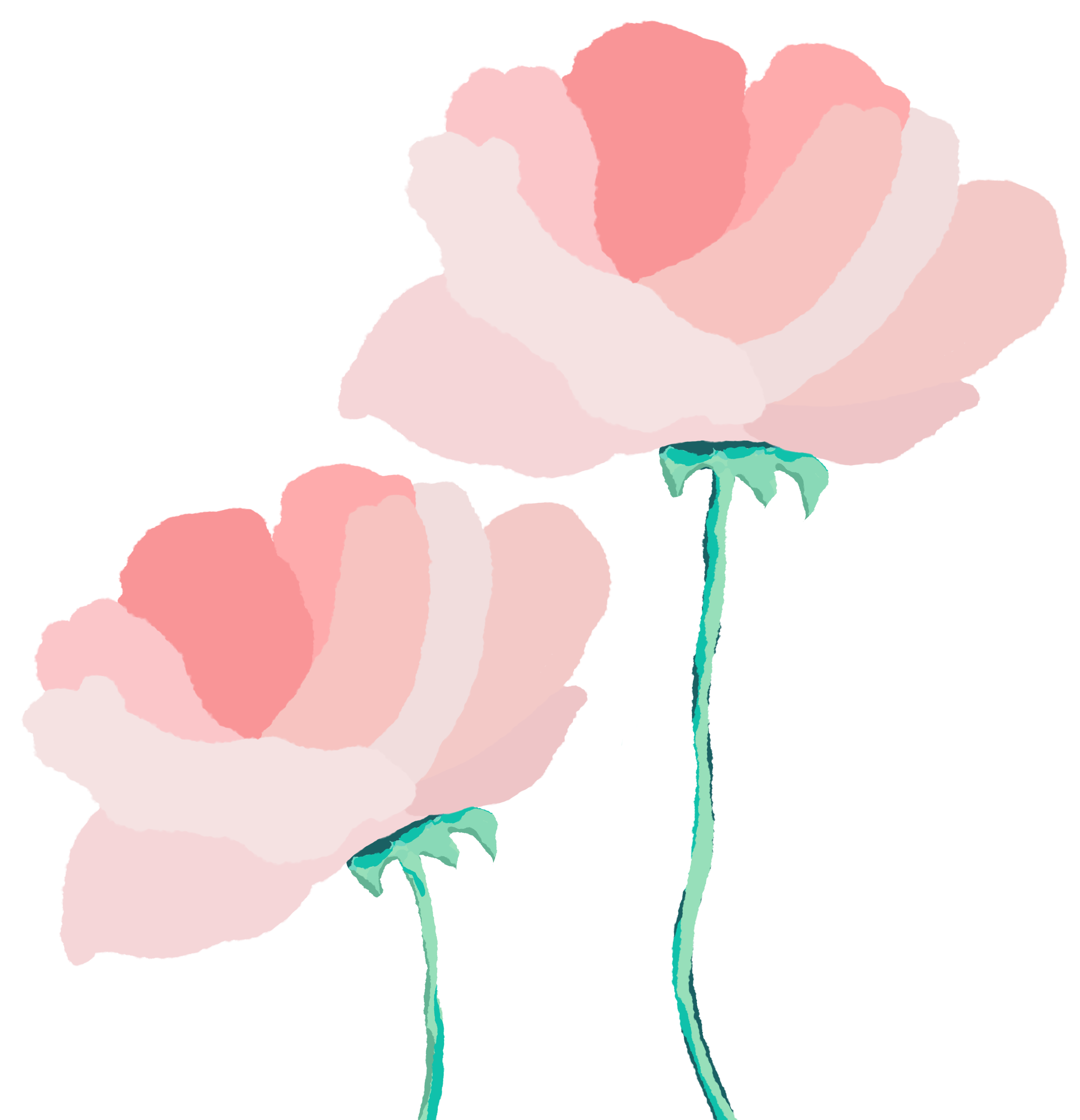 水彩 花 素材如何制作