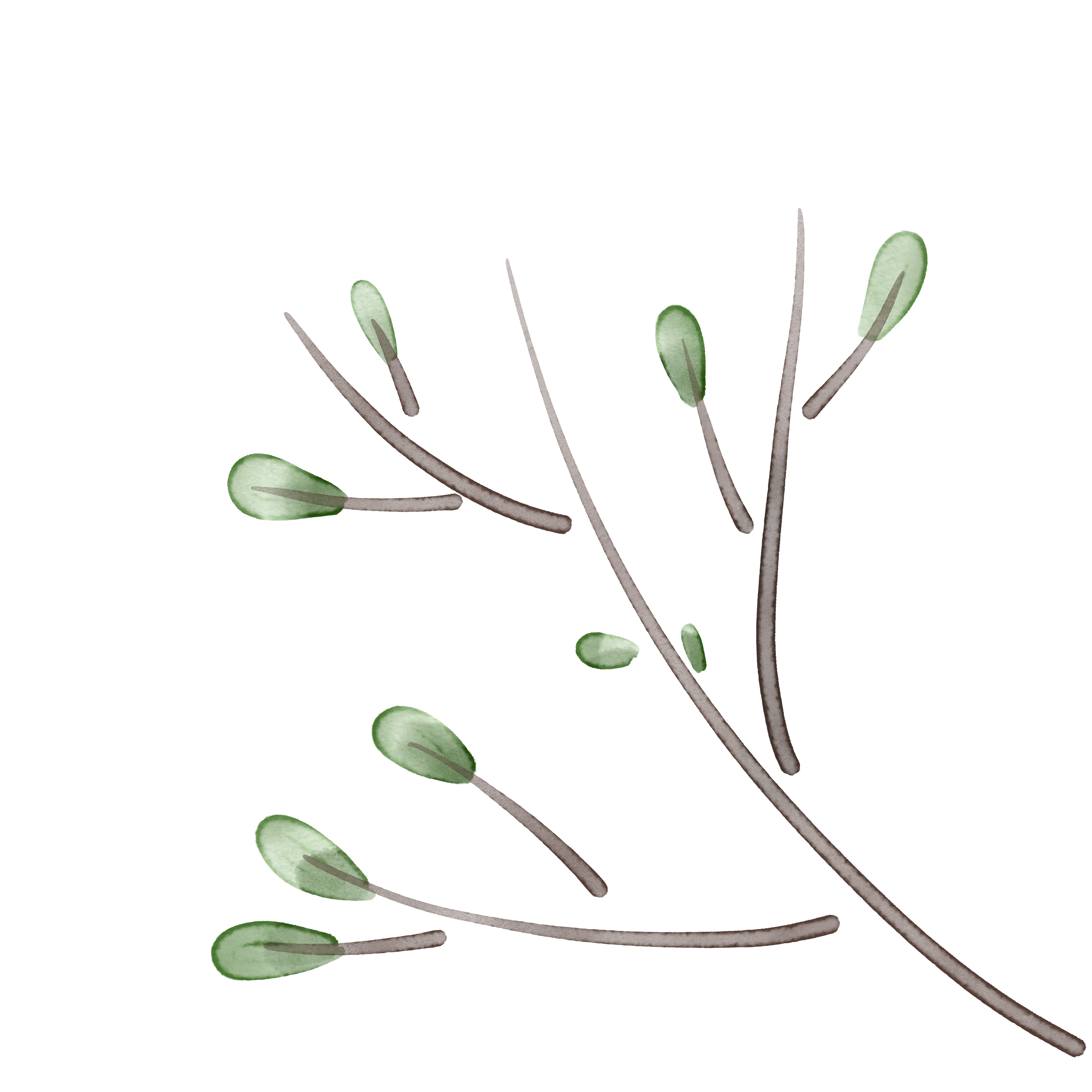 粉色的小花照片如何画