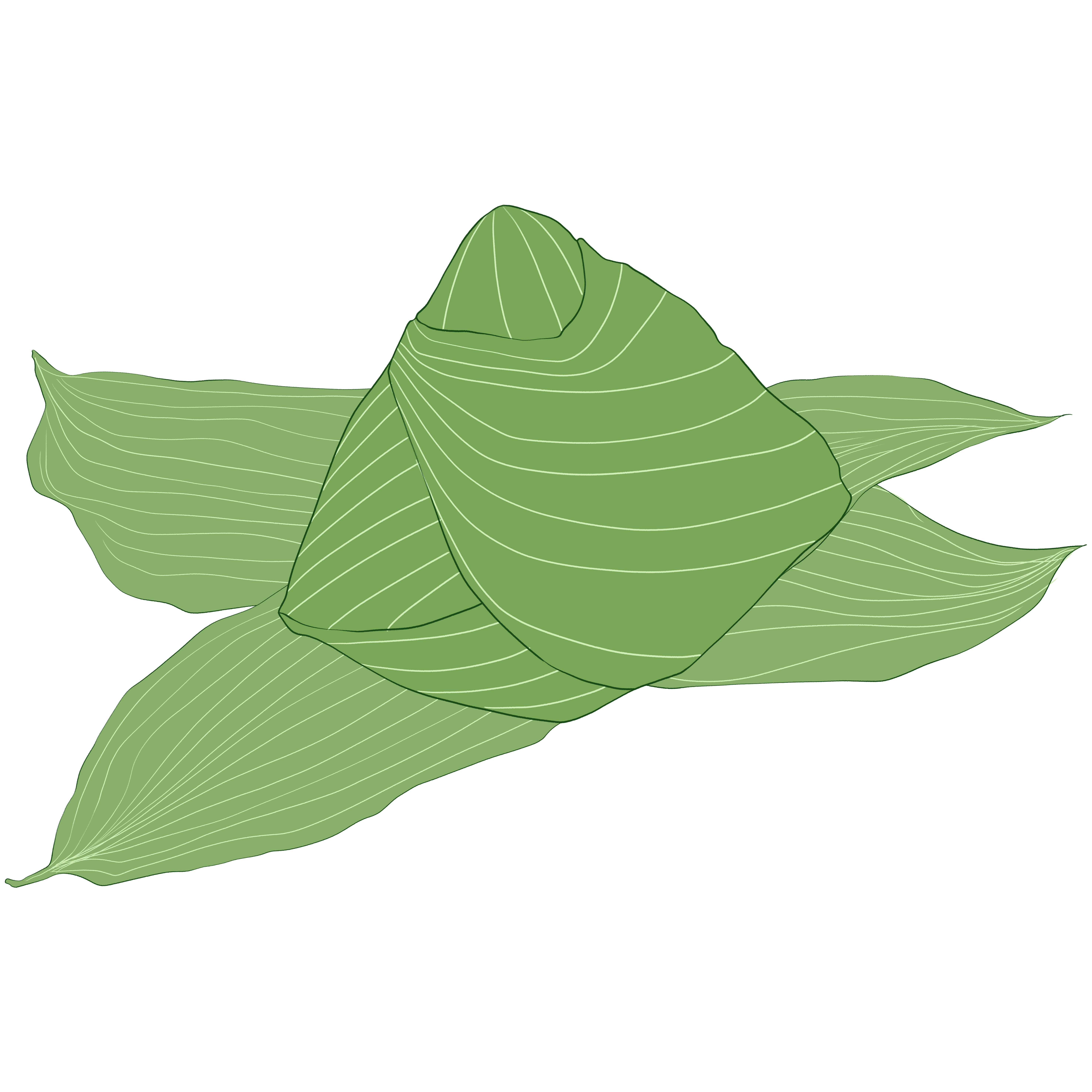 粽子插画图片如何制作