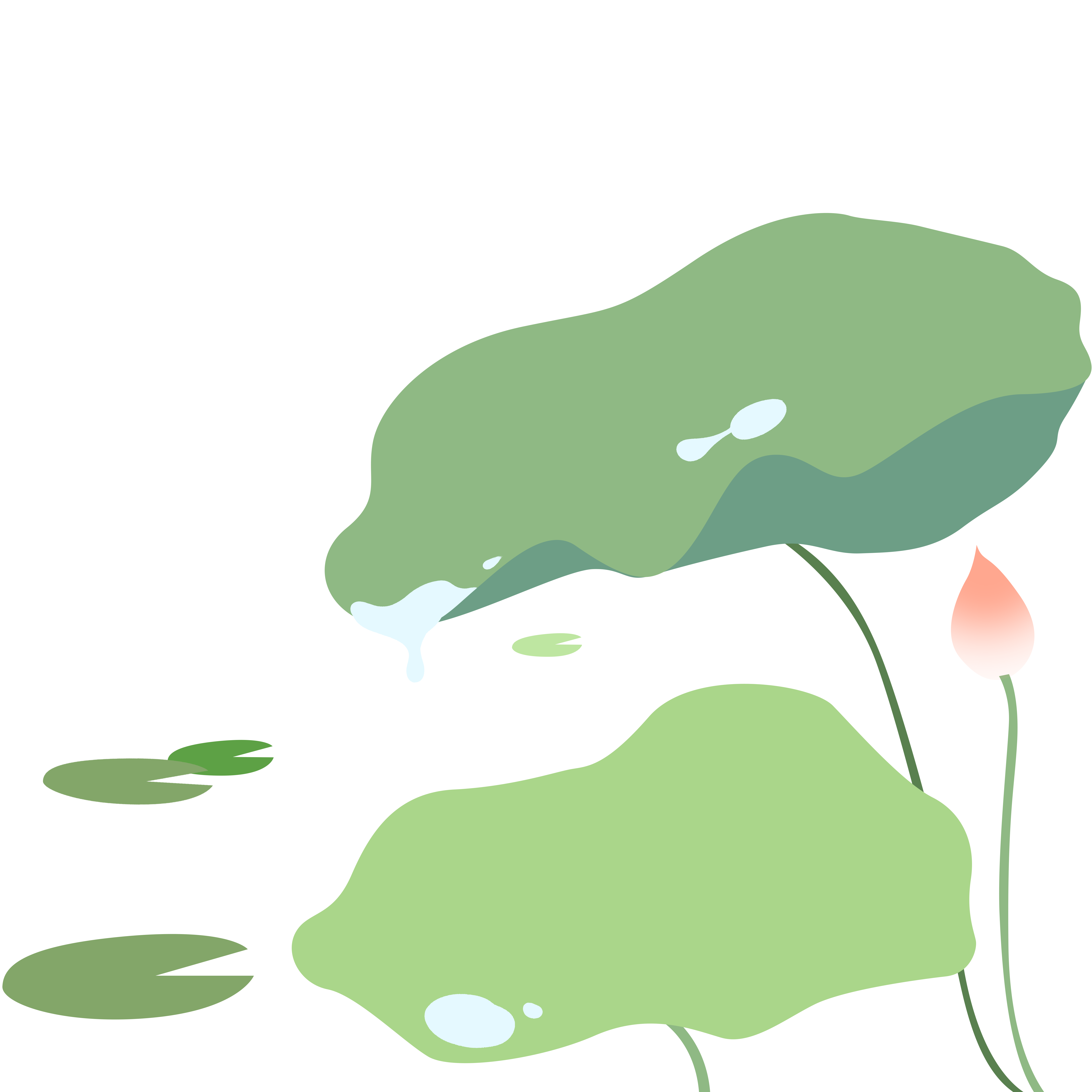 荷叶插画图片制作技巧