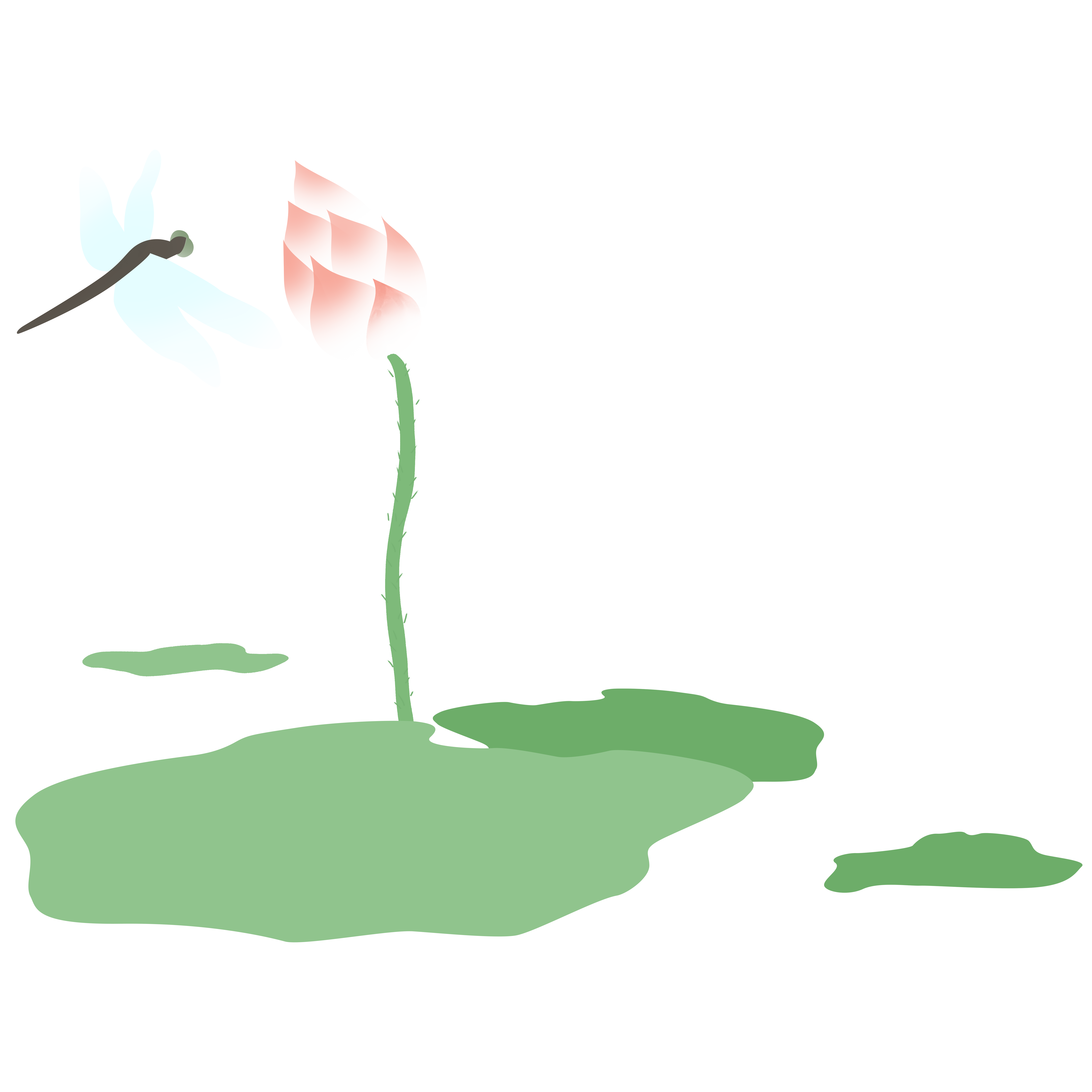 荷花蜻蜓插画图片如何绘制