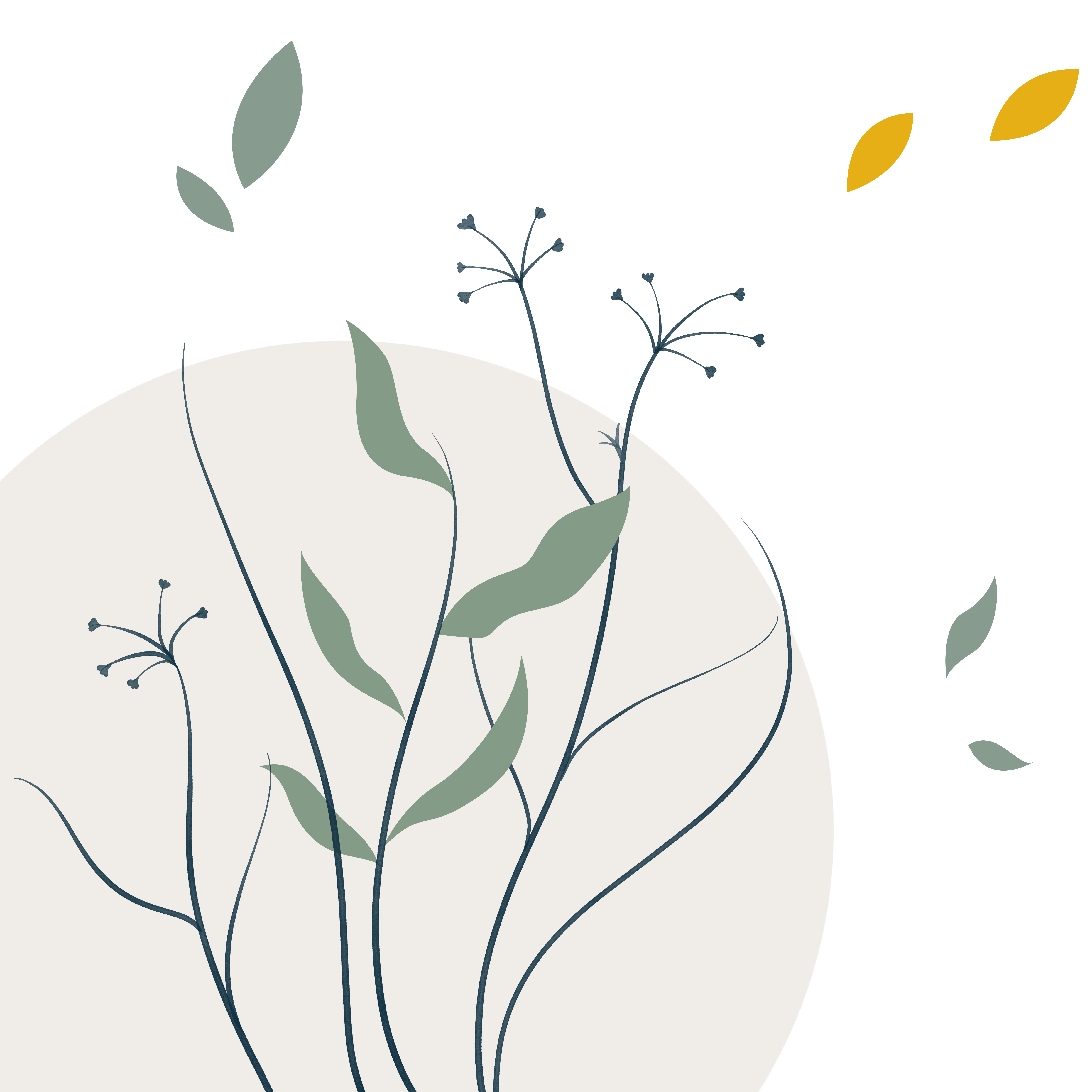 清新简约素材图片怎样画