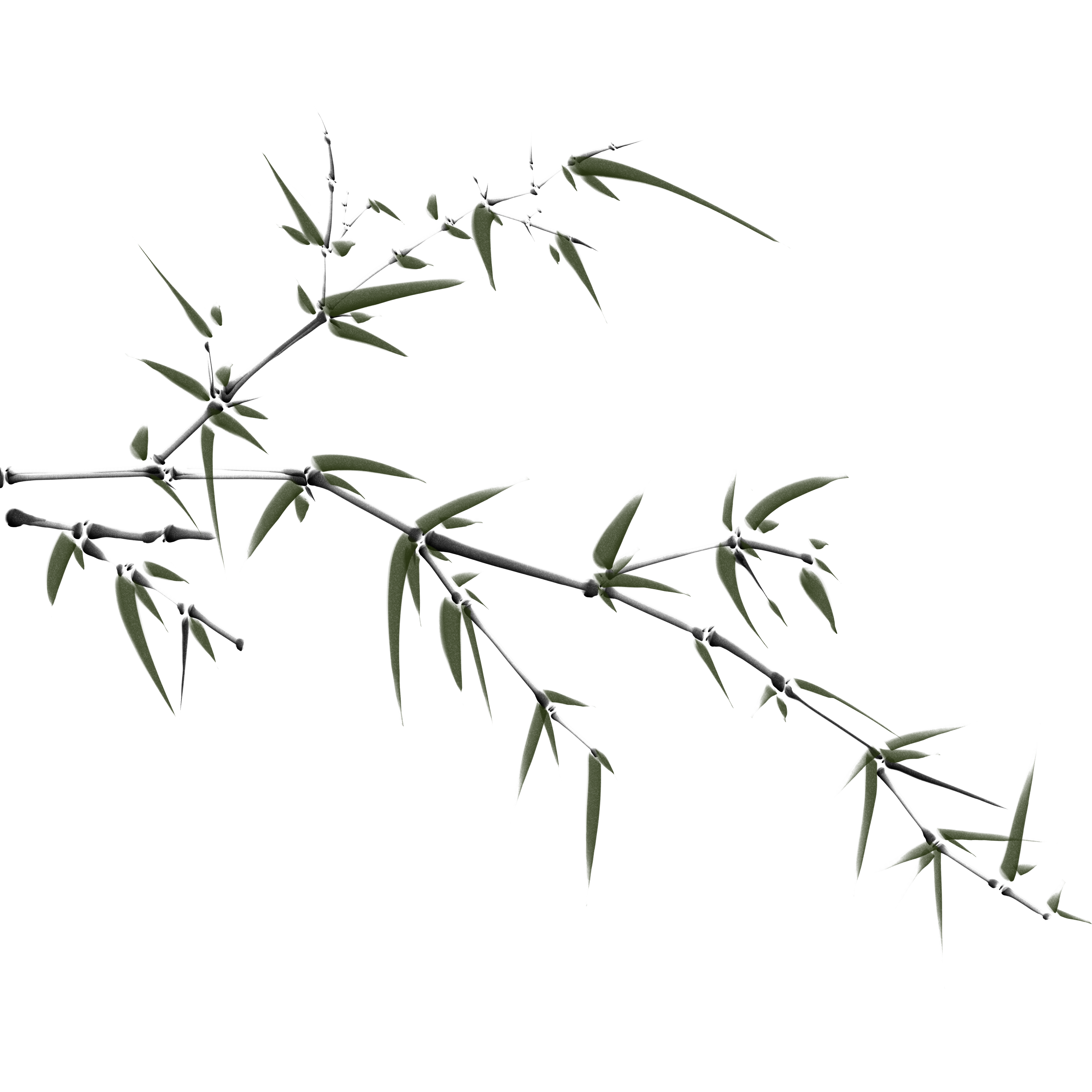 树枝绘画图制作技巧