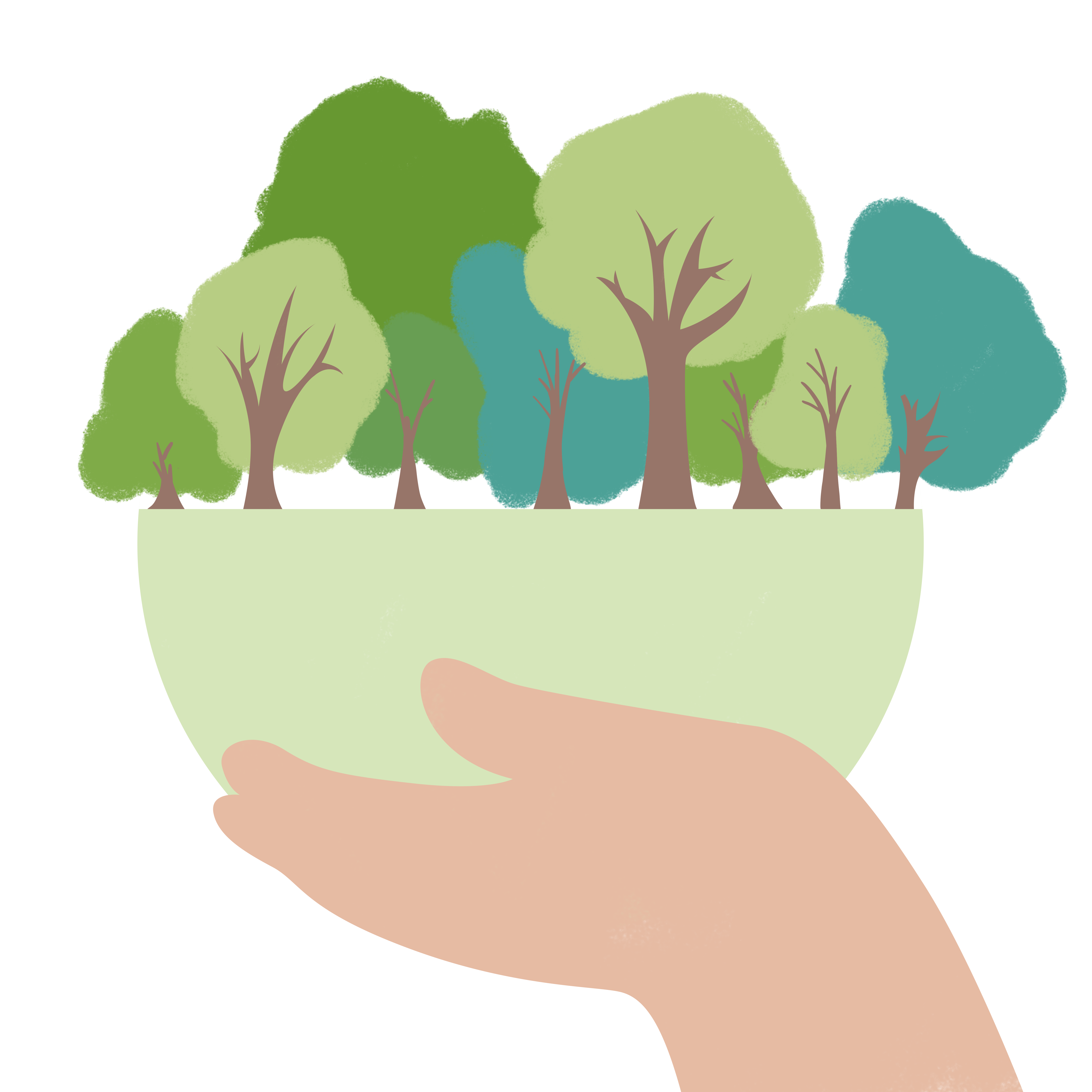 植树造林绘画图片制作方法