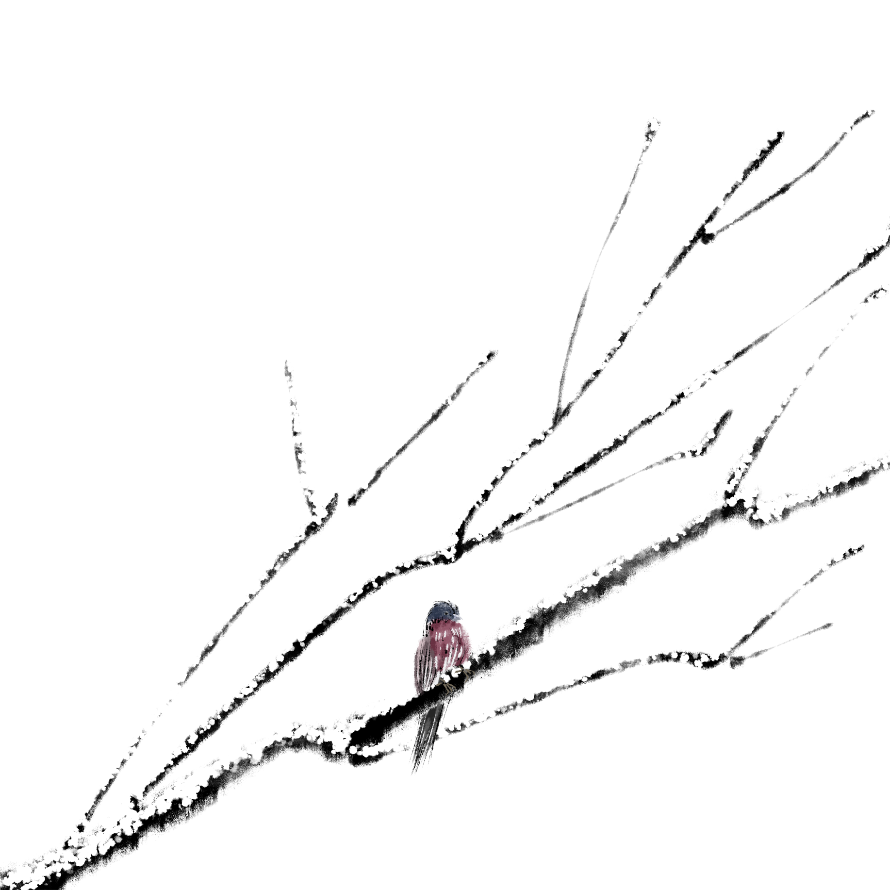 小寒插画图片如何制作